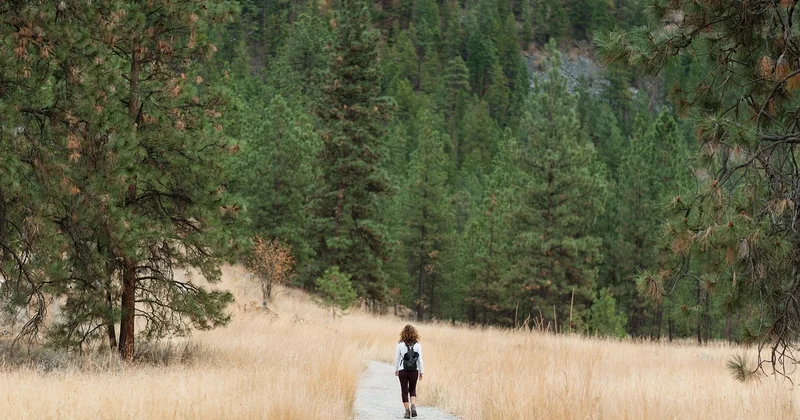 Les 7 principes du Leave No Trace : bien plus qu'une simple charte