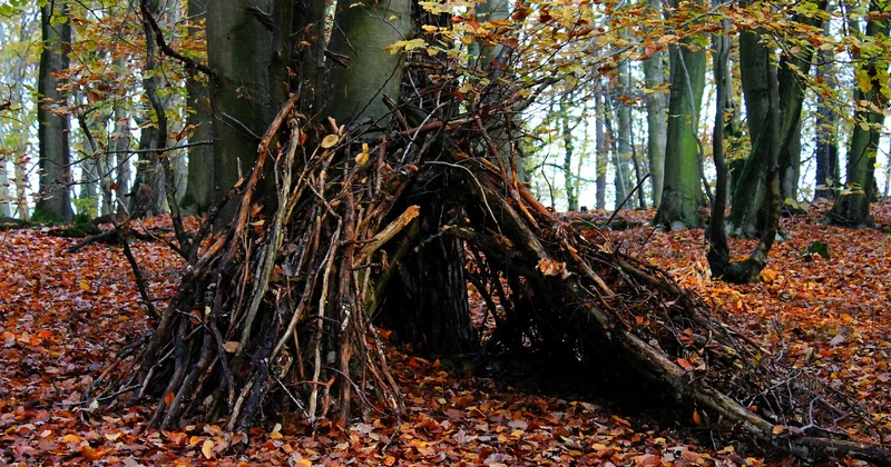 Réglementation : bivouac en forêt, ce qui est autorisé et ce qui ne l'est pas