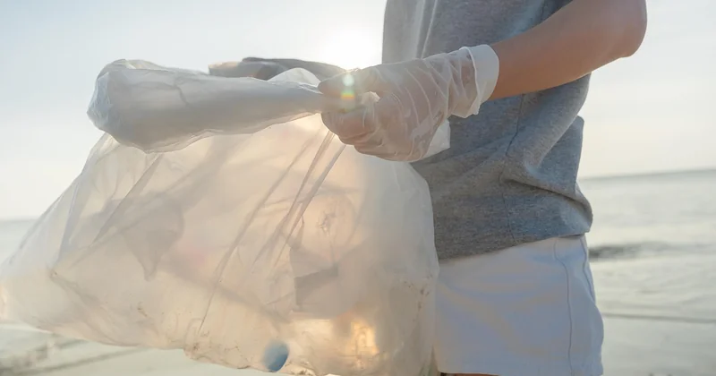 Gestion des déchets : au-delà du "tout emporter"